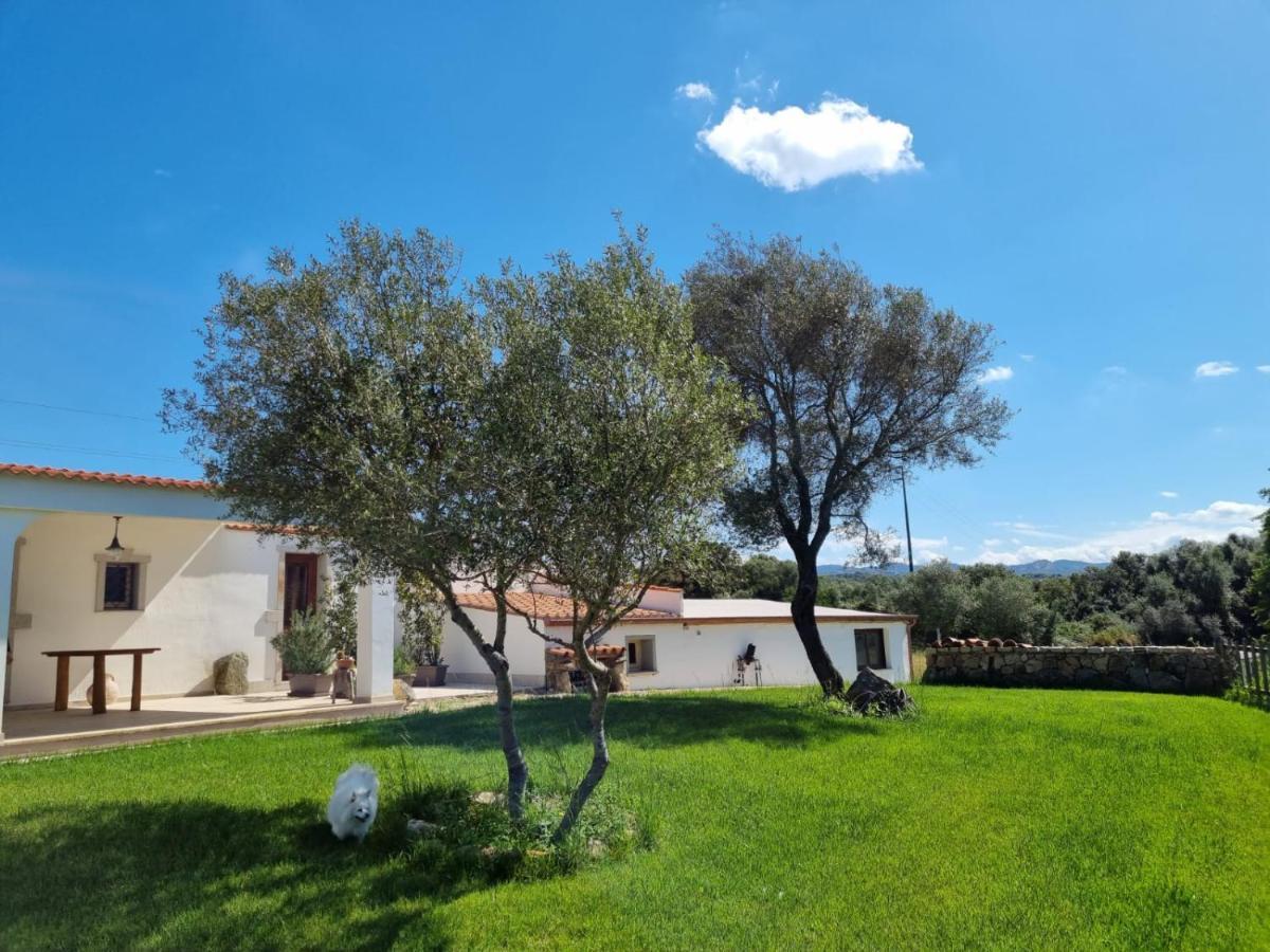 Lu Antu Alloggi Agrituristici Arzachena Kültér fotó