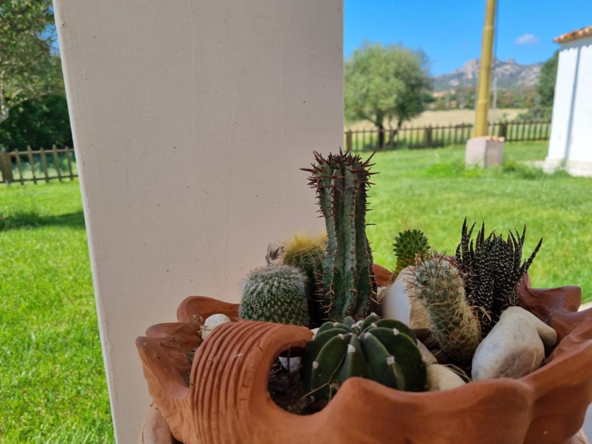 Lu Antu Alloggi Agrituristici Arzachena Kültér fotó